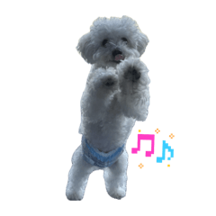 M_20260505183028