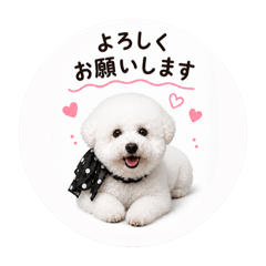naomi_20260505183345