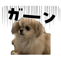 Mugita2