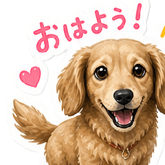 Cute Shu Stickers