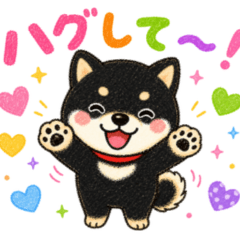 An energetic kuro mameshiba inu