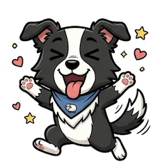 Border collie's reaction
