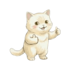 Cute Cream Cat: No Text Daily Stickers