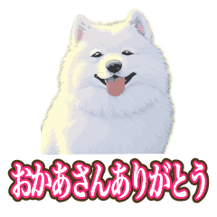Tasty Dog 059