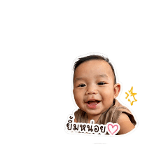 Camel_20260428145255