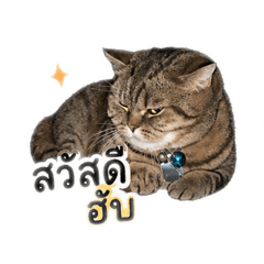 Sonsungnoen_20260428145304