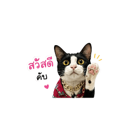 Kung mai_20260428144956