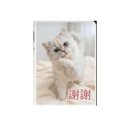 陳阿咪兒