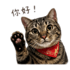 皮蛋馬尼