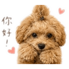 柒柒（潦草篇1 三個月的寶寶）
