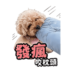 毛亂亂biu biu～第一組貼圖