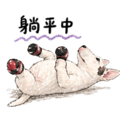 哈蕊說3