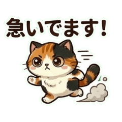 uzumaki_hide_20260505164136