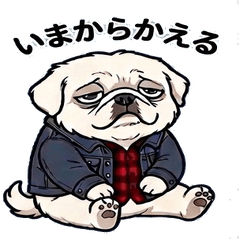 Daily Guchan