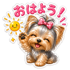 Mochimochi Yorkshire Terrier
