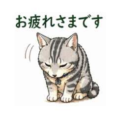 American Shorthair WorkStickers NanoLife