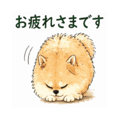 Pomeranian Work Stickers NanoLife