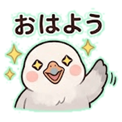 Lazy Albatross: Squishy & Chill