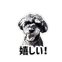 Cute Cute Schnauzer Sticker