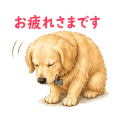 Golden Retriever Work Stickers NanoLife