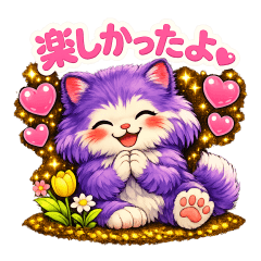 Cute pet British Longhair