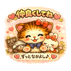 Cute pet Exotic Shorthair