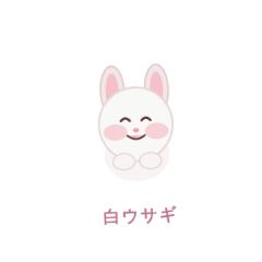 Masa_20260505173028