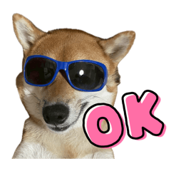doitnow420_20260505172902