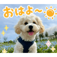 marico_20260505173054