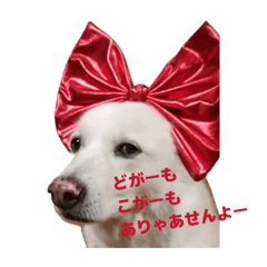 kururi_20260505171920
