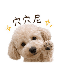 阿球球欸