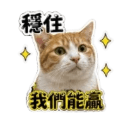 蛋塔的股市語錄