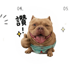 可愛的帥帥惡霸