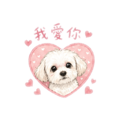 小Yu跟Muffy