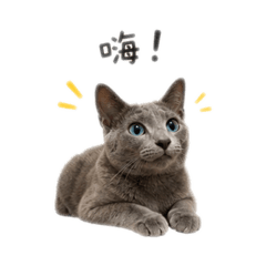 蝦滷滷是俄藍