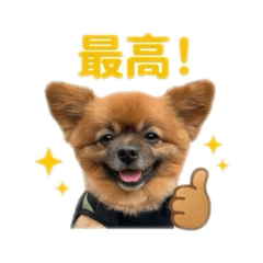ryo_20260505190428