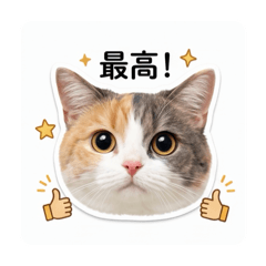 Sue_20260505190855