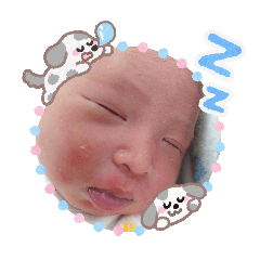 hiyo_20260505190302