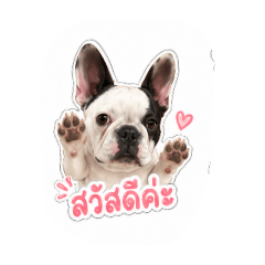sandee_20260428145403