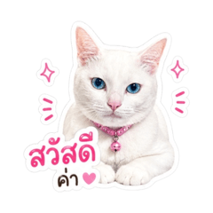 Mochi v.1_20260428145613