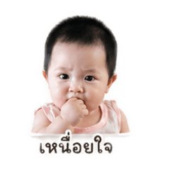 IP_20260428145508