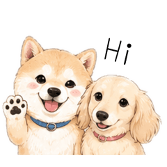 KiKi &LaLa的甜美可愛生活