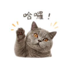 更新日常
