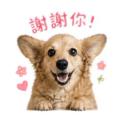 肥布丁狗