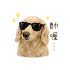 Dachshund world map腸寶圖選品-步步公主
