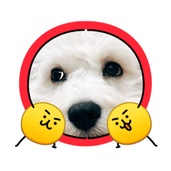 Miiru  001