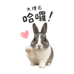 兔寶寶大理石