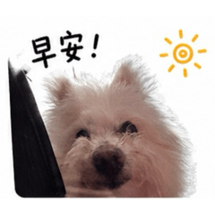 姊接的小阿狗日常2