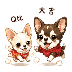 Q比和大吉