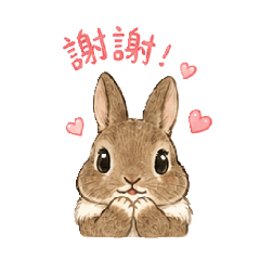 阿呼表情包